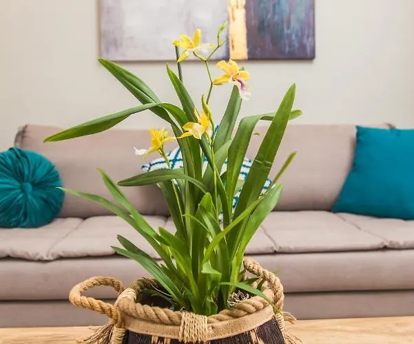 Apartman Miltonia