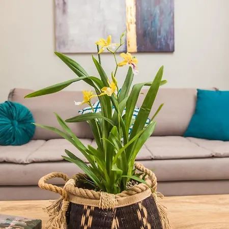 Appartement Miltonia